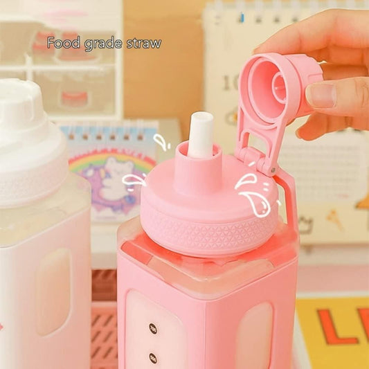 700 ml Kawaii Water Bottle with Straw & Lid – Cute Leakproof Bottle | Dotmint