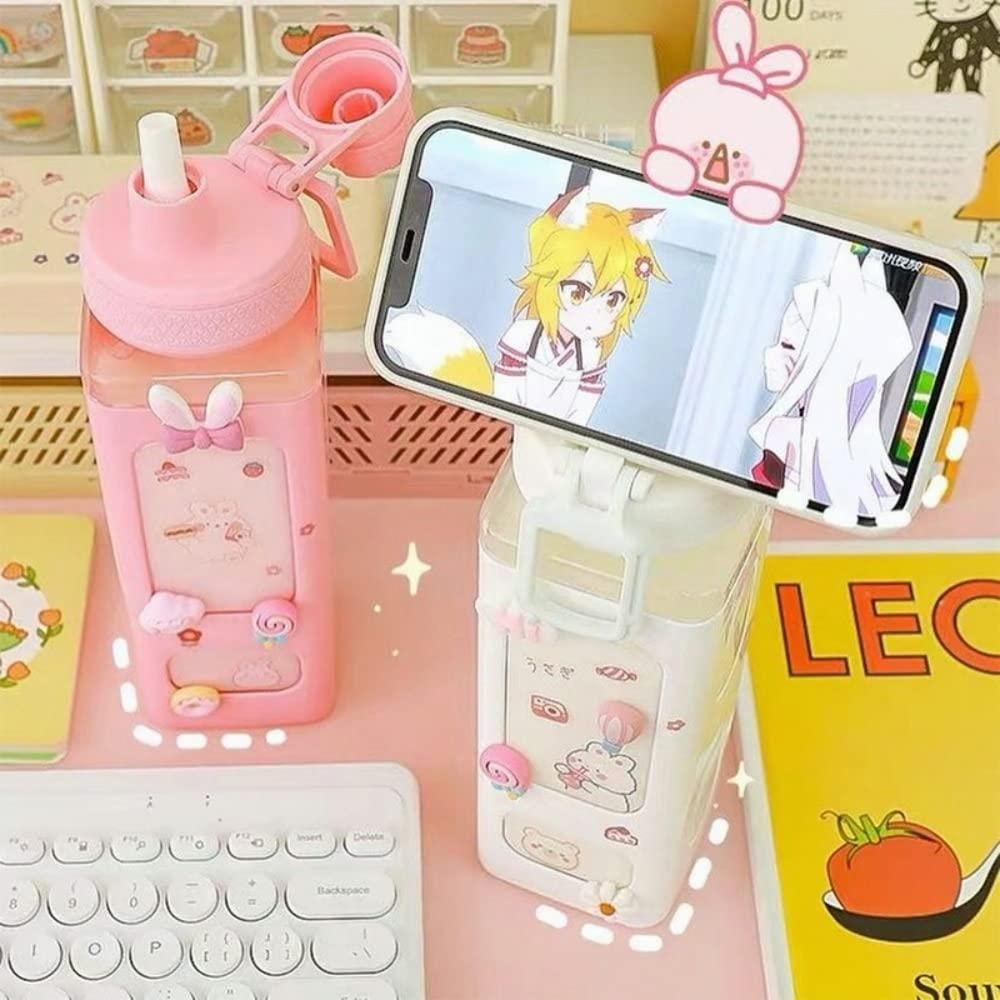 700 ml Kawaii Water Bottle with Straw & Lid – Cute Leakproof Bottle | Dotmint