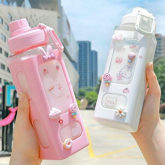 700 ml Kawaii Water Bottle with Straw & Lid – Cute Leakproof Bottle | Dotmint
